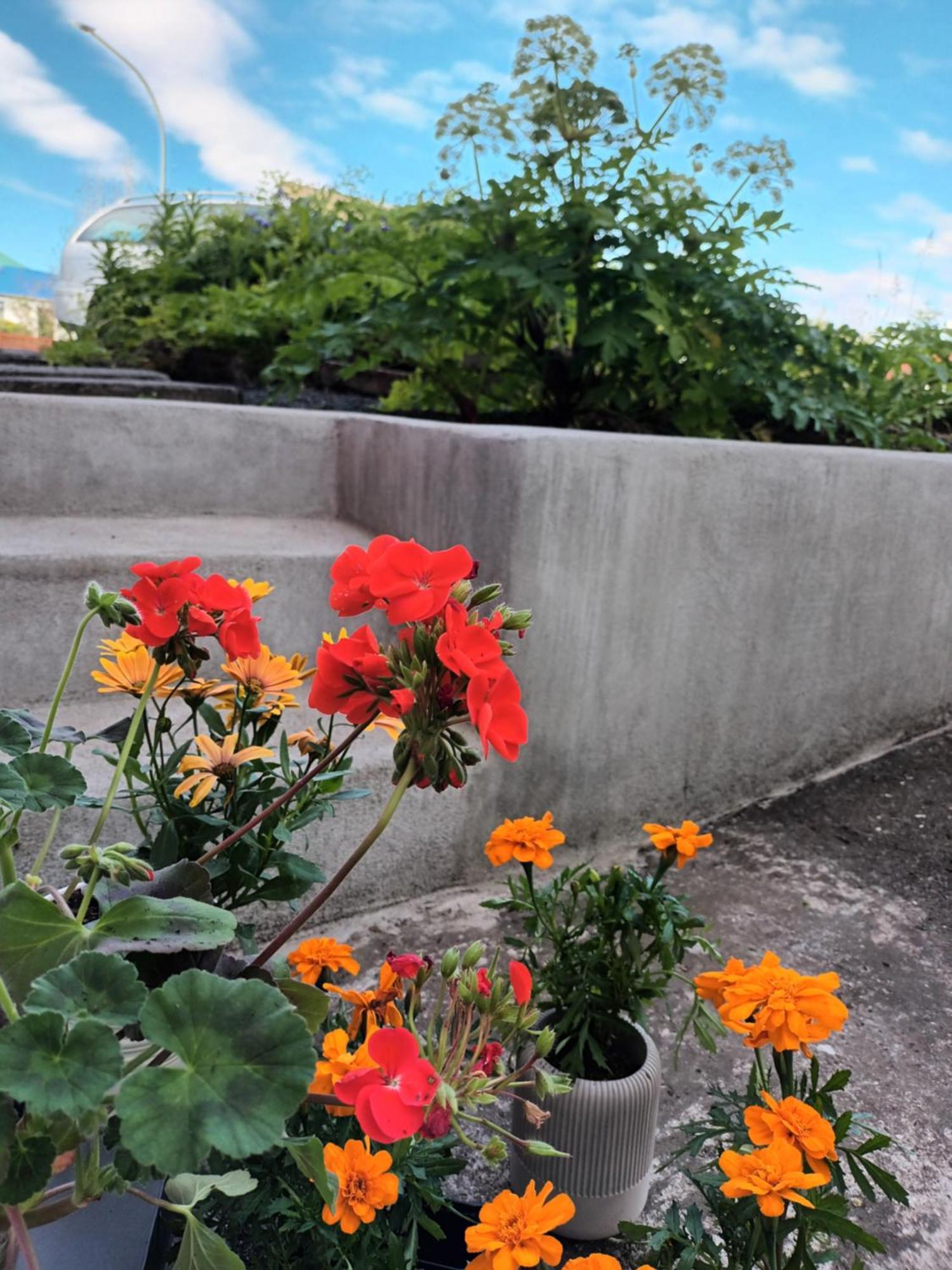 Lara Studio In Laugardalur Valley, Reykjavik Central Park And Botanical Garden, Private Entrance, Free Private Parking On Side Экстерьер фото