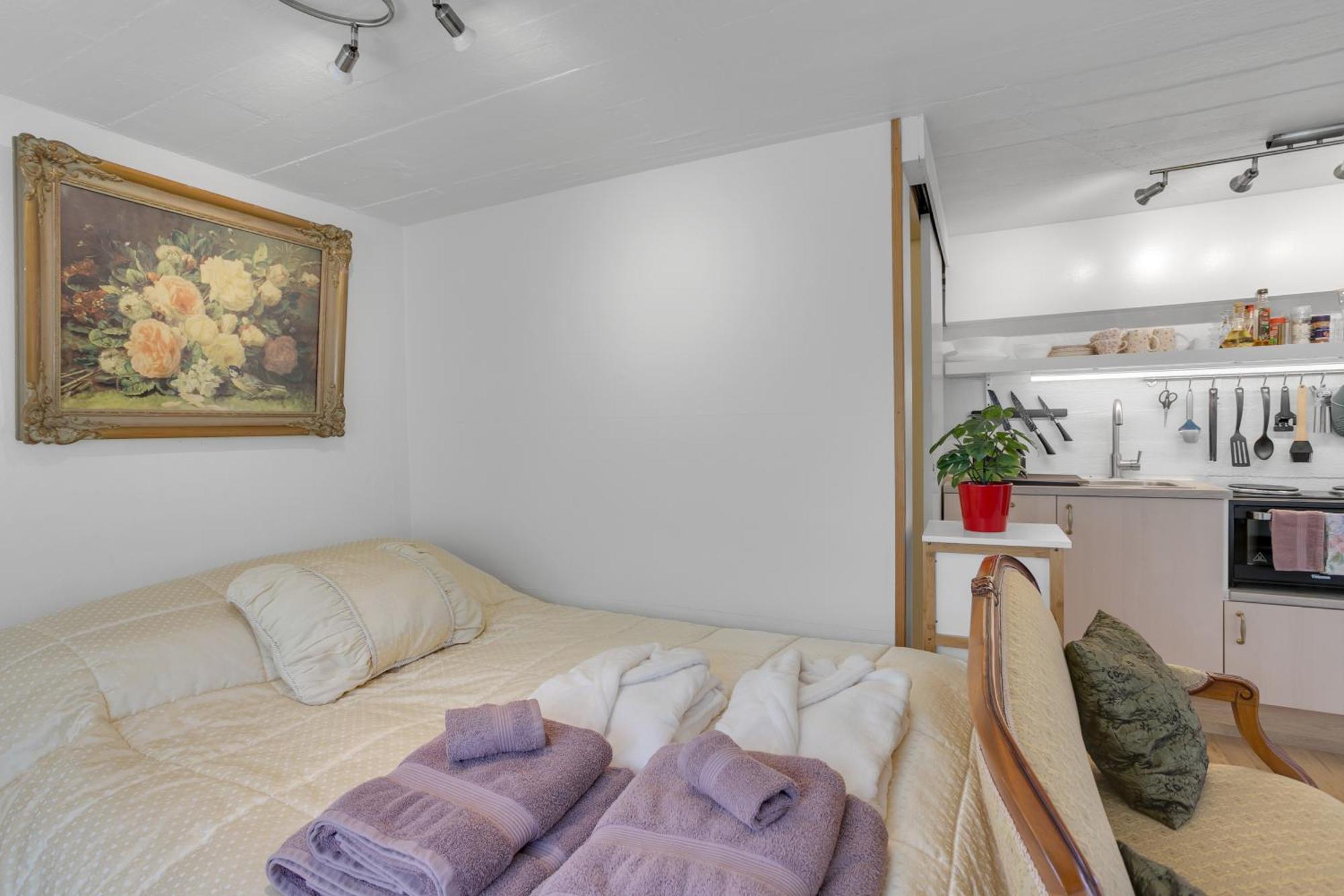 Lara Studio In Laugardalur Valley, Reykjavik Central Park And Botanical Garden, Private Entrance, Free Private Parking On Side Экстерьер фото